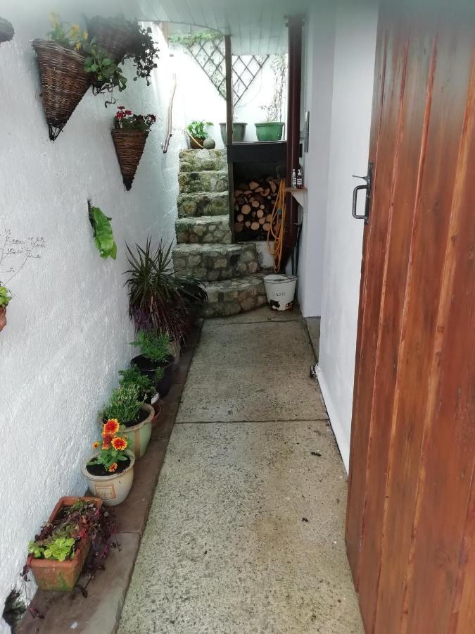 Clearview Cottage St Austell Exterior photo